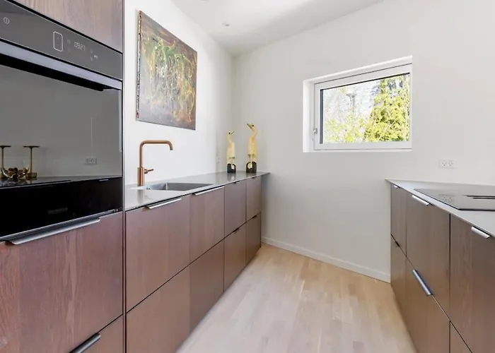 Helt Nyt Charmerende I Centrum Med Skon Tagterrasse Свендборг