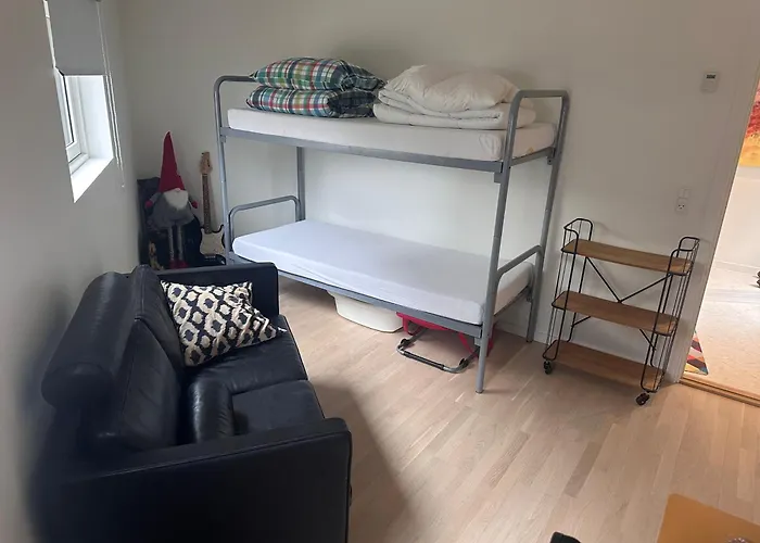 Helt Nyt Charmerende I Centrum Med Skøn Tagterrasse Lejlighed