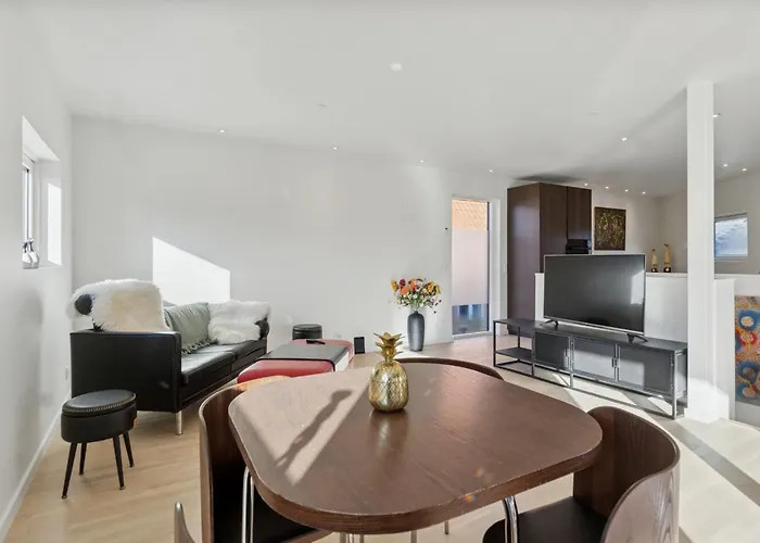 Helt Nyt Charmerende I Centrum Med Skøn Tagterrasse Lejlighed Svendborg